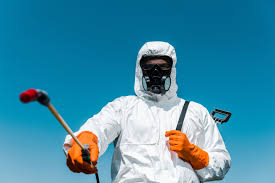 Lawn Pest Control in Dorr, MI